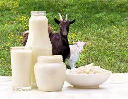 Photo of Covid-19 impact on Goat Milk Market Research | Delamere Dairy, Emmi Group, Gay Lea Foods