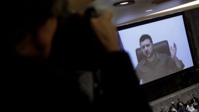 Photo of Zelensky urges UN to withdraw Russia from Security Council or 'completely dissolve'